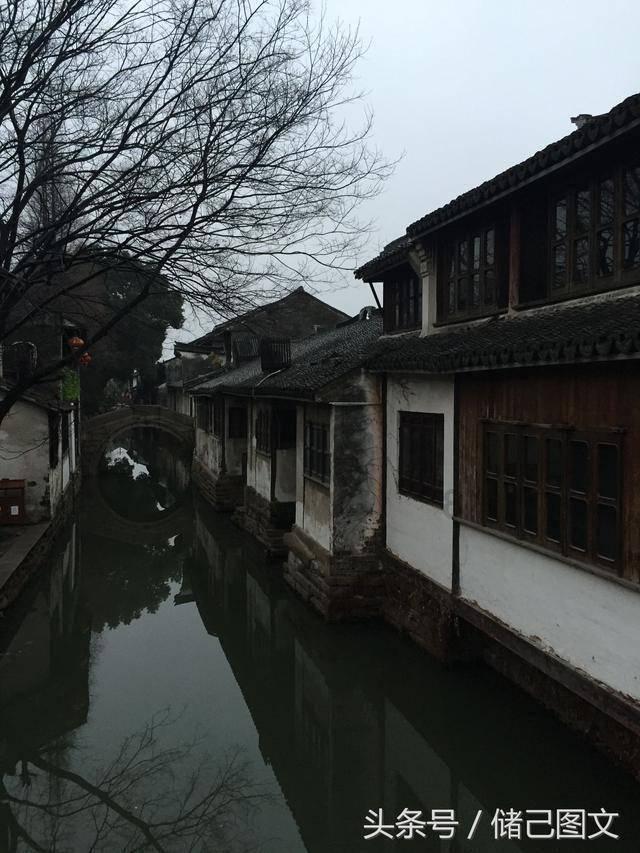 救出被困的老鼠